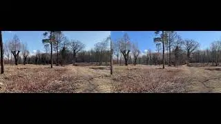 Apple iPhone 11 vs Samsung Galaxy S20+ 4K 60FPS Video Quality Test Sample Footage