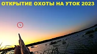 СУПЕР ОТКРЫТИЕ ОХОТЫ НА УТКУ 2023  / MAX HUNTER