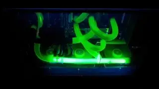 Креотивное решение, водяное охлаждение для компьютера