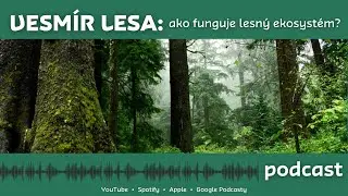 Vesmír lesa - ako funguje lesný ekosystém?