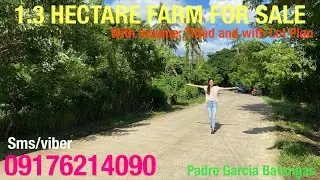 Vlog463: 1.3 HECTARE FARM WITH COCONUTS & CITRUS FOR SALE IN PADRE GARCIA BATANGAS PHILIPPINES
