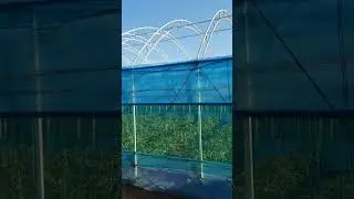 Ураган сорвал плёнку с балагана.