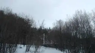 Пакатушки(2)