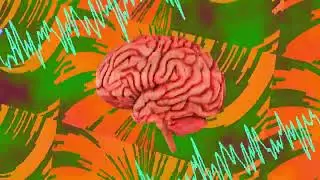 CerebralProcessingUnit.prproj