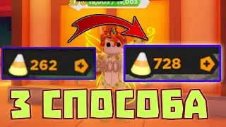 Как фармить много конфет в Treasure Quest? 3 Способа (Roblox)