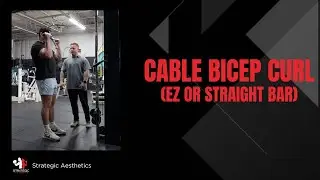 Cable Bicep Curl (EZ or Straight Bar) - Exercise Index