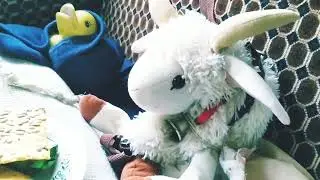 КАНОН МФSW ФИНАЛ ЧАСТЬ 2