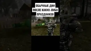 Дни после праздников #stalker #shorts #праздник #shortvideo #чн #зп #бандиты #военные #сталкер