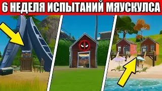ПРОХОЖДЕНИЕ ИСПЫТАНИЯ МЯУСКУЛСА 2 НЕДЕЛЯ ФОРТНАЙТ КАК ПРОЙТИ 6 НЕДЕЛЮ В ФОРТНАЙТ ИСПЫТАНИЯ 6 НЕДЕЛЯ