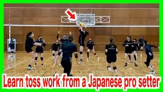 Learn the tips of toss work from a Japanese pro setter！【volleyball】