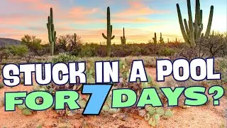 Stuck In A Pool For 7 Days In Arizona