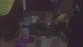 Yoda & Tiana