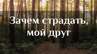 Очень красивая песня 