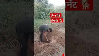 Rip
