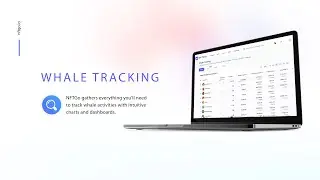 NFTGo New Function —— Whale Tracking 