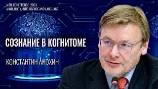 Сознание в когнитоме. Константин Анохин