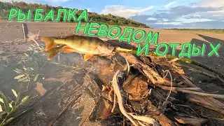 ПОЙМАЛИ ЗАПРЕЩЕННУЮ РЫБУ | РЫБАЛКА НЕВОДОМ | ЖАРИМ ОКУНЯ НА РОЖНЕ