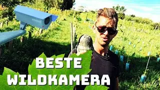 Beste Wildkamera 2024 im Test