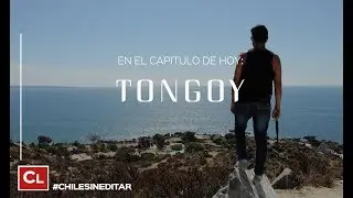 Tongoy