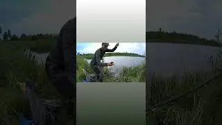 Не ожиданная поклевка. Shorts🐟🐟🐟🎣