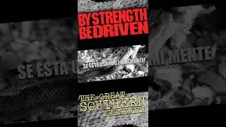 The Great Southern Trendkill by "By Strength Be Driven" Tribute band #pantera  #dimebagdarrell