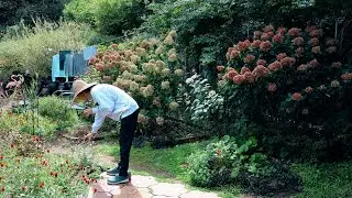 Daily life in a Korean countryside on a suddenly chilly autumn day~!!
