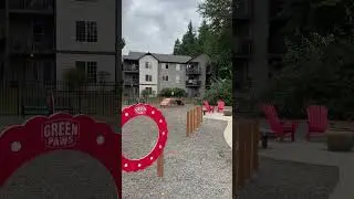 Не показывайте видео животным в России #shorts