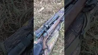 CZ 457 Lux .22LR (PART 2) CCI STANDARD VELOCITY #shorts #22lr #plinking #rimfire #cz457