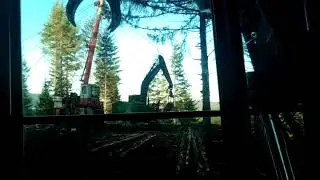 just a tease