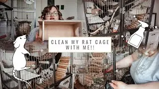 clean my RAT CAGE with me! 🐀🧽