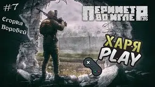 RPStalker: «Периметр во Мгле» | Последний рубеж, Фениксы, Синие птицы! (ч.7) [+18]