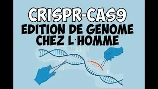 1ère utilisation de l'édition de génome CRISPR-CAS9 chez l'Homme pour traiter une maladie génétique