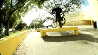 Nike 6.0 - Nigel Sylvester Bio