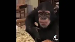 Очень вкусная еда 😂