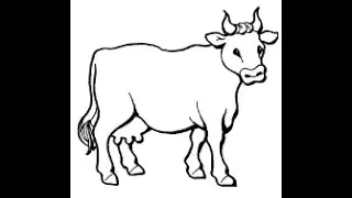 How to draw a cow