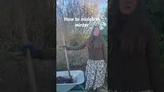 How to mulch the garden in winter