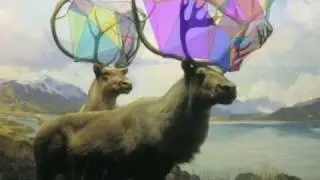 Pyramids - The Echo Of Something Lovely