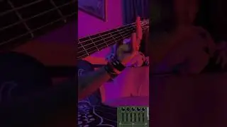 Feelament — Hate Delivery | Bass playthrough by Wally 😈