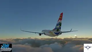 PMDG 738|Amazing Arrival into Grand Cayman|MSFS