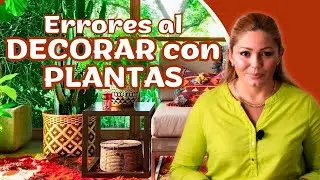 DECORAR con PLANTAS. Los errores comunes que debemos evitar.