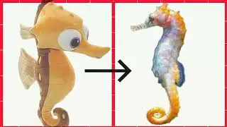 Finding Nemo Characters In Real Life
