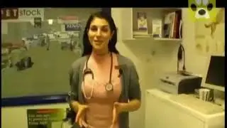 Мурзик, кис кис