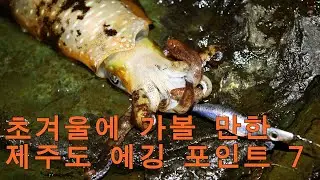 초겨울에 추천하는 제주도 에깅 포인트 7