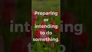Southern Speak - Fixin'