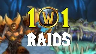 WoW 101 - Raids