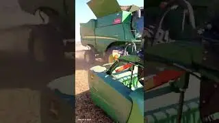 адесса соя . Саатбау уборка