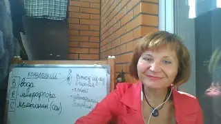 Всеедам, малоедам и неедам: влияние концепция на нашу жизнь ч2