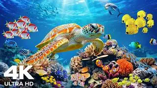 Amazing 4K Ocean Adventure 🐳 Dive Deep & Discover Sea Creatures in The Best 4K ULTRA HD Aquarium