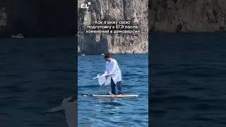 Готовиться теперь сложнее ⁉️Скорее смотри демоверсию по био, ссылка в шапке #биология #егэ