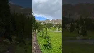 Colorado Mountain Meadow View